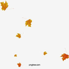 Falling Leaves Leaves Falling Down Floating Elements Png Transparent Clipart Image And Psd File For Free Download Autumn Leaves Cherry Blossom Petals Autumn Leaves Background