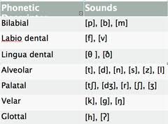 Articulatory Phonetics Speech Sound Form Flashcards