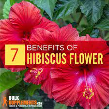 Hibiscus Flower Benefits Side Effects Dosage Bulksupplements Com Hibiscus Flowers Reduce Cholesterol Hibiscus