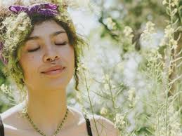 Fundraiser for Meridith Dillon by Flora Griffith : Flora's Top Surgery Fund