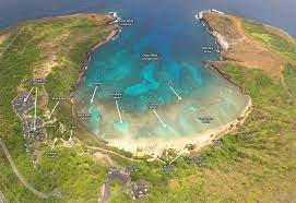 Admission is free for children under 12. Hanauma Bay Reef Map Hanauma Bay Information