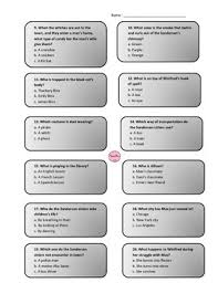 July 1st 2021 good luck! Hocus Pocus Comprehension Questions By Saraberg2015 Tpt