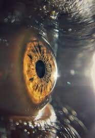 Ever Seen The Human Eye This Close Micro Lens Photography Macro Photography Eyes Macro Lens Photography Micro Photography