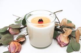 Members of the lilium (true lilies) or hemerocallis (day lilies) can cause kidney failure in cats, but only mild stomach upset in dogs, says wismer. Are Bath Body Works Wallflowers Safe Or Toxic To Humans Dogs Cats The Filtery