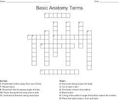The function of the bony components of the spine is to protect the spinal cord and nerve roots that are contained within the spinal canal and provide a site of attachment for muscles and ligaments. Basic Anatomy Terms Crossword Wordmint