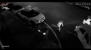 Fingevano di chiedere indicazioni per distrarre gli automobilisti: sgominata banda di ladri