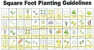 If you are new to gardening, you may like my veggie garden supply list to help you get started. Pin On Patio Container Gardening
