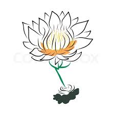 Hand Zeichnen Seerose Lotus Blume Stock Vektor Colourbox