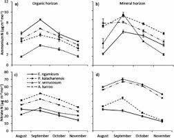 Image result for Erianthemum ngamicum