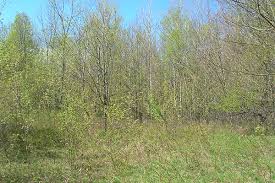 Field & forest products can help you get started. Old Fields Young Woods