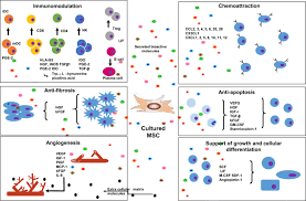 Dulchavsky, m.d., ph.d., and is maintained in a database by the iss program science office. Stem Cells Therapy As A Possible Therapeutic Option In Treating Covid 19 Patients Springerlink
