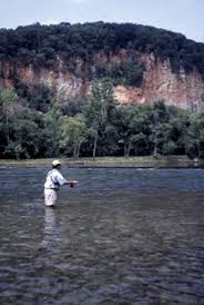Fly Fishing In Tennessee The Holston River Below Cherokee