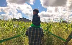 North Ridgeville Corn Festival
