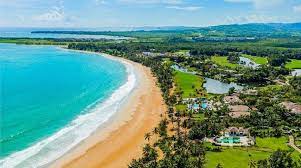 Check spelling or type a new query. Bahia Beach Caribbean Journal