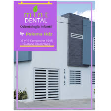 mint DENTAL Paloma Hdz Odontopediatra