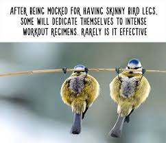 54 Amazing Animal Facts You Didn T Know Animal Facts Interesting Funny Animal Facts Animal Facts