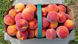 That Fuzzy Stuff On Peaches Is Not What You Think | IFLScience