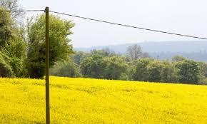 See full list on howmuchisit.org Will We Ever Get Rid Of Telephone Poles Find Out Inside