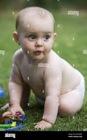 12 months old baby hi-res stock photography and images