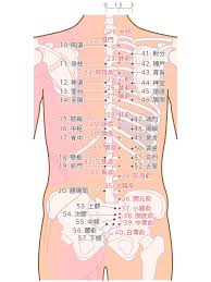 Dec 14, 2015 · 背中が痛いというと…肩こりかな？ 背中の痛みの原因として、まず思い浮かぶであろうものが肩こりです。 首筋・首の付け根・肩・背中にかけて張る、凝る、痛みを感じるといった症状がでます。 åå¿èå'ã' ç°¡å èä¸­ã®ããã'èªåã§æ¼ãæ¹æ³ ä½ç½®ã¨å¹æã¾ã¨ã