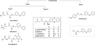 Image result for Pyrethroid