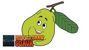 how to draw guava easy step by step for kids easy drawing tutorial youtube