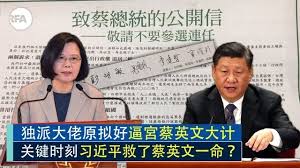 Image result for 蔡英文  誰選 誰不選 不是誰說了算