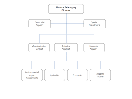 It Consulting It Consulting Organization Structure