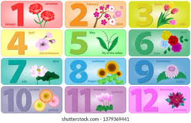Carnation, snowdrop the carnation's different hues suggest different meanings: List Flowers Commemorating Birth Each Month Stock Illustration 1379369441