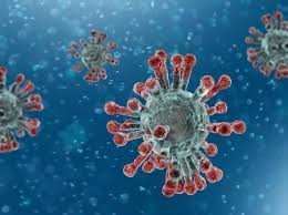 Coronavírus: Brasil capacita nove países para diagnóstico do novo ...