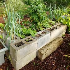 Raised beds are also great at keeping pests away from your garden. Raised Bed Vegetable Garden Concrete Blocks Planter For Small Spaces