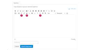 4 4 Text Entry Canvas Tour For Students