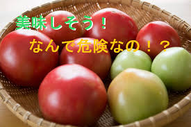 トマトやナスには毒があった 中毒症状になる他の危険な夏野菜まとめ まさこのいい話