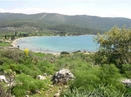 Bodrum plajları dışında bodrum'da gidilecek yerler arasında günübirlik bir keşif yapmak isteyenler için saklı bir balıkçı kasabası olan kıyıkışlacık köyü'nü seyahatimgeldi hesabının yazarı birten çankaya gidip bodrum'da gezilecek. Nazar Emlak Tan Kiyikislacik Ta Denize 0 Arsa Ref 116 Satilik Arsa Milas Gulluk Kiyikislacik Koyu