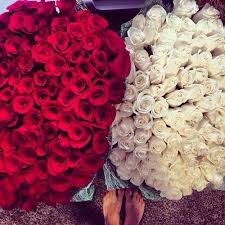 Pin By Brandi On Succulent Luxury Flower Bouquets Pretty Flowers Luxury Flowers