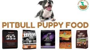 Looking for the best dog food for pitbulls? These Are Top 5 Best Dog Food For Pitbull Puppies To Gain Weight And Muscle June 14 2021