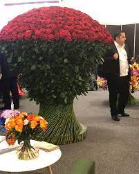 Hours may change under current circumstances Donna Fyffe Salesperson Hill S Wholesale Florist Linkedin