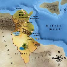 Explore photos, statistics and additional rankings of tunisia. Afrika Junior Tunesien