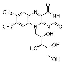 Our free coloring pages for adults and kids, range from star wars to mickey mouse. Riboflavin Wikipedia