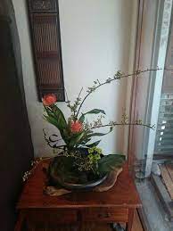 中華花藝 蔓梅凝 針墊花 葉蘭 小菊 高距插花 flowers plants