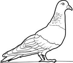 Download dove bird stock vectors. Pin On Coloing Book