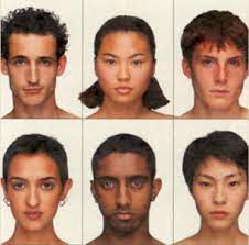 If you have a soft, petite nose: Face Variations By Ethnic Group Marquardt Beauty Analysis