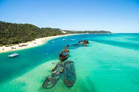 We did not find results for: Brisbane Beaches Top Surfing Spots Swimming Areas Secluded Sands