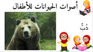 د ب أسماء الحيوانات للأطفال وأصواتها Brown Bear Animals Lol