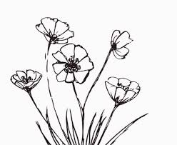 Bunga merupakan salah satu objek yang sangat menarik untuk diabadikan terlebih ketika sedang mekar. Sketsa Bunga Contoh Lukisan Flora Dan Fauna Simple
