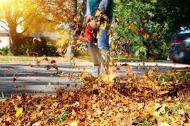 Best Leaf Removal Tips And Tricks Window Genie Blog