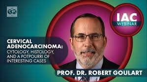 Dr. Martha Pitman: The WHO International Reporting System for  Pancreaticobiliary Cytology (2022)