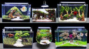 Like other interest, it takes some time, dedication and extensive research study. Top 6 How To Make Mini Planted Fish Tank At Home Idea 6 Diy Aquascape Aquarium Decoration Ideas 142 Youtube