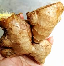 Cara membuat minyak kemiri juga cukup mudah karena bisa dilakukan dengan cara tradisional. Resepi Buat Minyak Angin Sendiri 100 Homemade Bidadari My