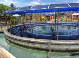 Selanjutnya, manfaat pare direndam air panas merupakan obat alami dan mujarab bagi kamu yang mempunyai keluhan terhadap kolestrol. Grisek Hot Spring Gowhere Malaysia